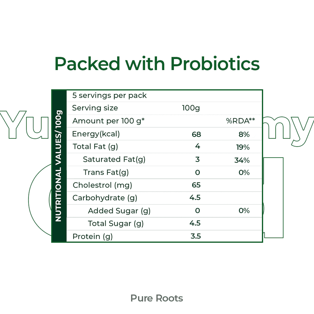 Set Curd for Lunch Box Set Curd for Lunch Box - Organic Mandya