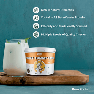 Set Curd for Lunch Box - Organic Mandya