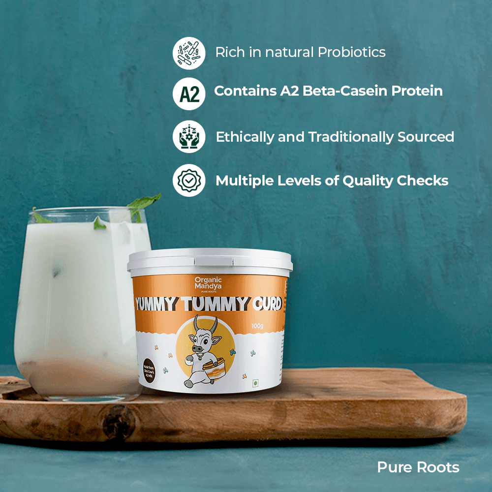 Set Curd for Lunch Box Set Curd for Lunch Box - Organic Mandya