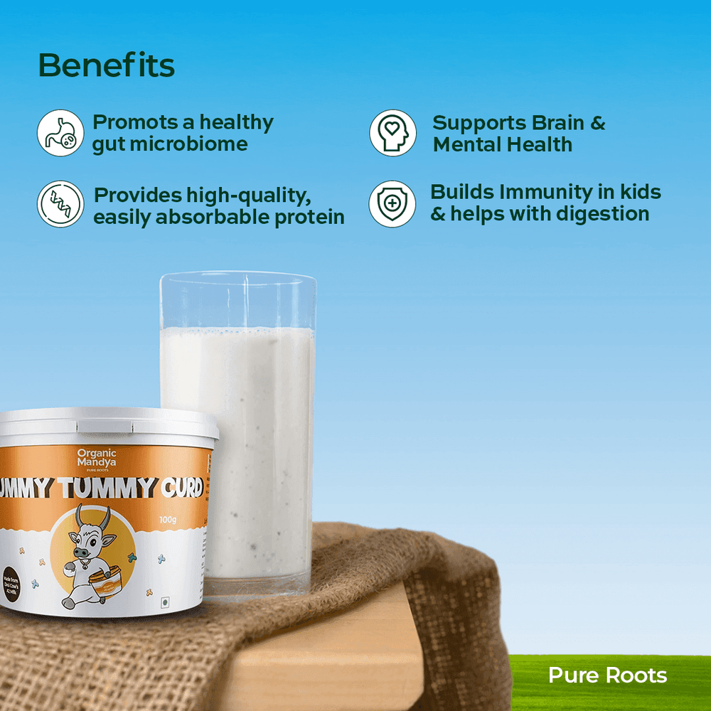 Set Curd for Lunch Box Set Curd for Lunch Box - Organic Mandya