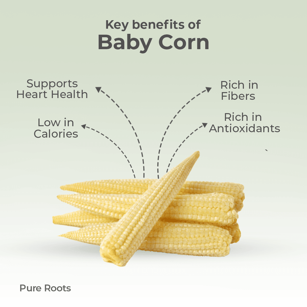 Organic Baby Corn Organic Baby Corn Organic Mandya