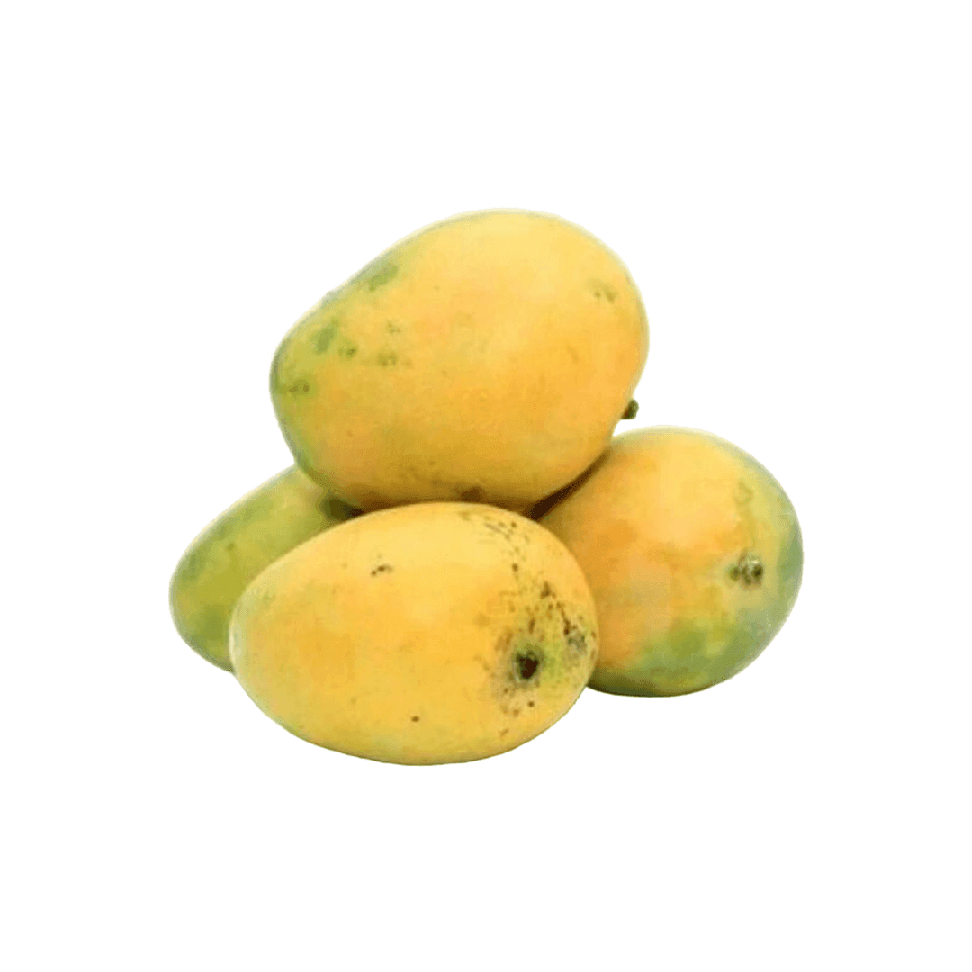Organic Mango Banganpalli Raw (Semi-ripe & mildly sweet) Organic Mango Banganpalli Raw (Semi-ripe & mildly sweet) - Organic Mandya