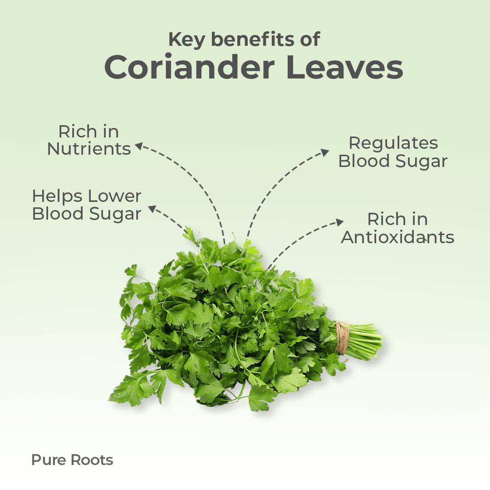 Organic Coriander Leaves Organic Coriander Leaves - Organic Mandya