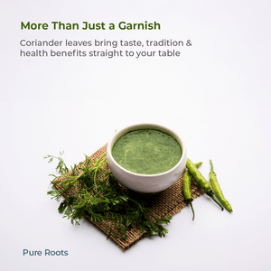 Organic Coriander Leaves - Organic Mandya