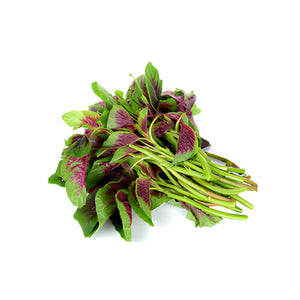 Organic Dhantu Leaves - Organic Mandya