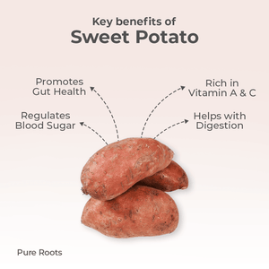 Organic Sweet Potato - Organic Mandya