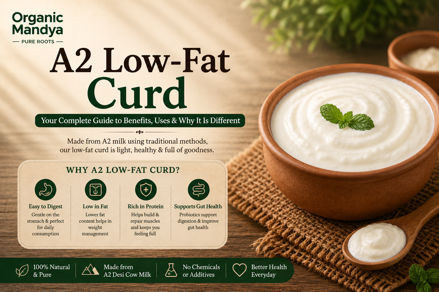 A2 Low-Fat Curd: Your Complete Guide to Benefits, Uses & Why It Is Different