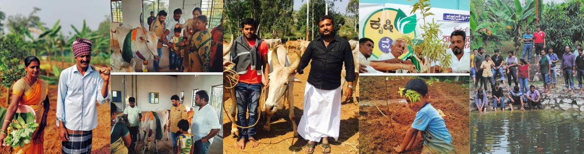 Mandya Organic Farmers Co-op Society: Building Stronger Farmers, Stronger Communities