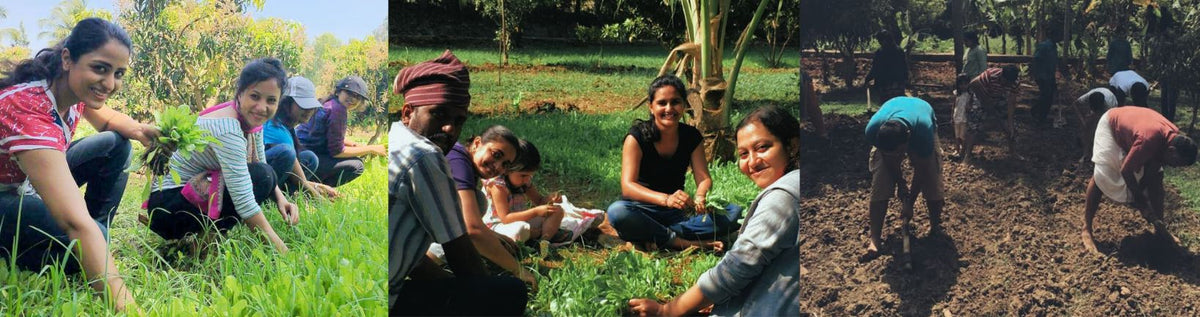 Sustainable Living Naturally: Experience the Joy of Village Life in Mandya