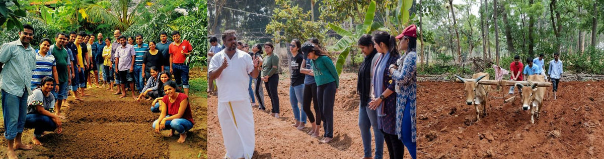 Sweat Donation: Bridging Urban Communities and Organic Farming