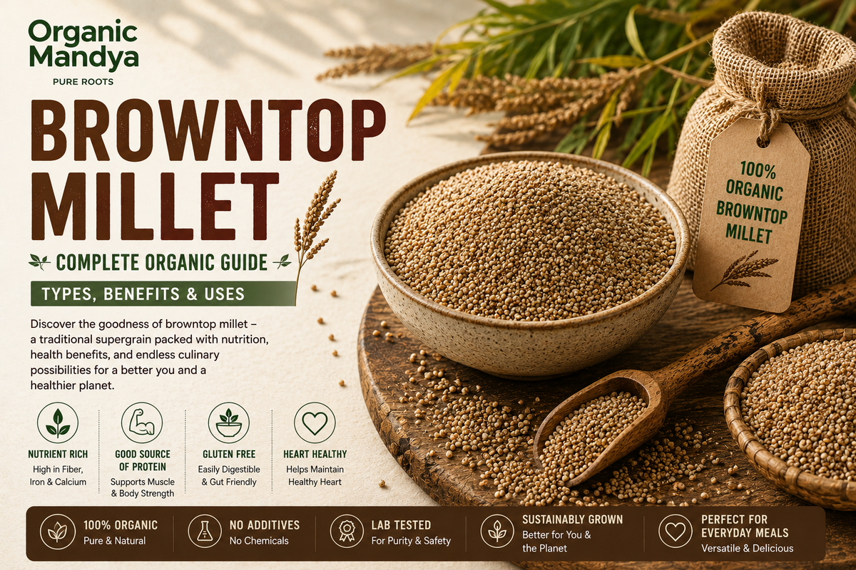 Browntop Millet: Your Complete Guide to Benefits, Nutrition & Uses
