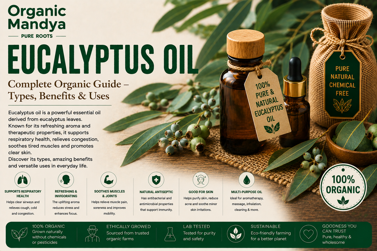 Eucalyptus Oil: Your Complete Guide to Benefits, Uses & Why Organic Is Different