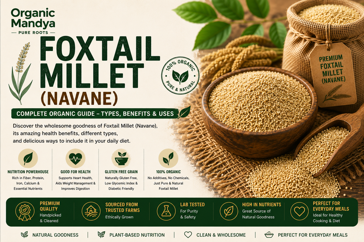 Foxtail Millet (Navane): Your Complete Guide to Benefits, Nutrition & Uses