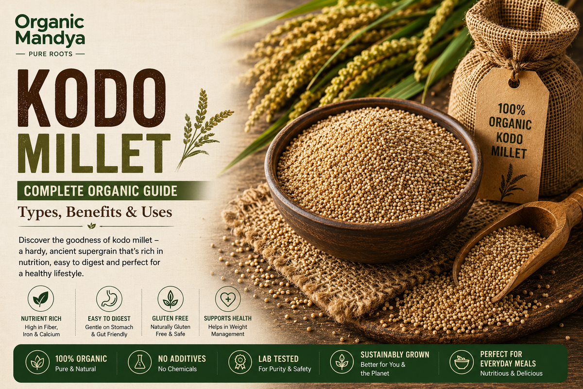 Kodo Millet: Your Complete Guide to Benefits, Nutrition and Uses
