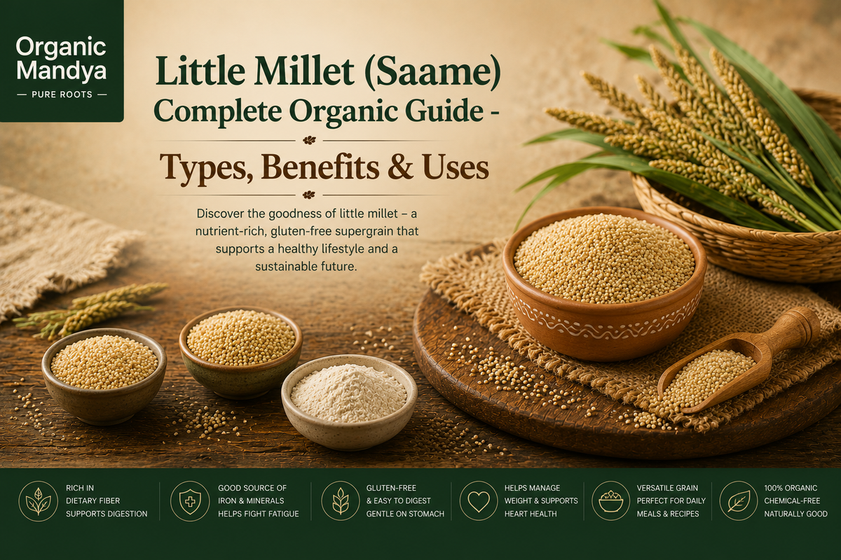 Little Millet (Saame): Your Complete Guide to Benefits, Nutrition & Uses