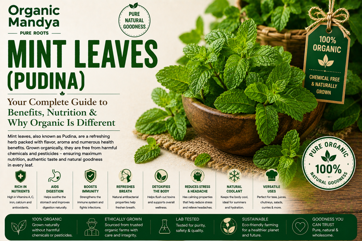 Organic Mandya Mint Leaves (Pudina) : Complete Organic Guide | Types, Benefits & Uses