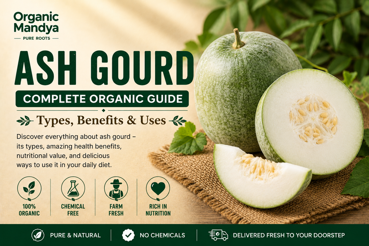 Organic Mandya Ash Gourd: Complete Organic Guide | Types, Benefits & Uses