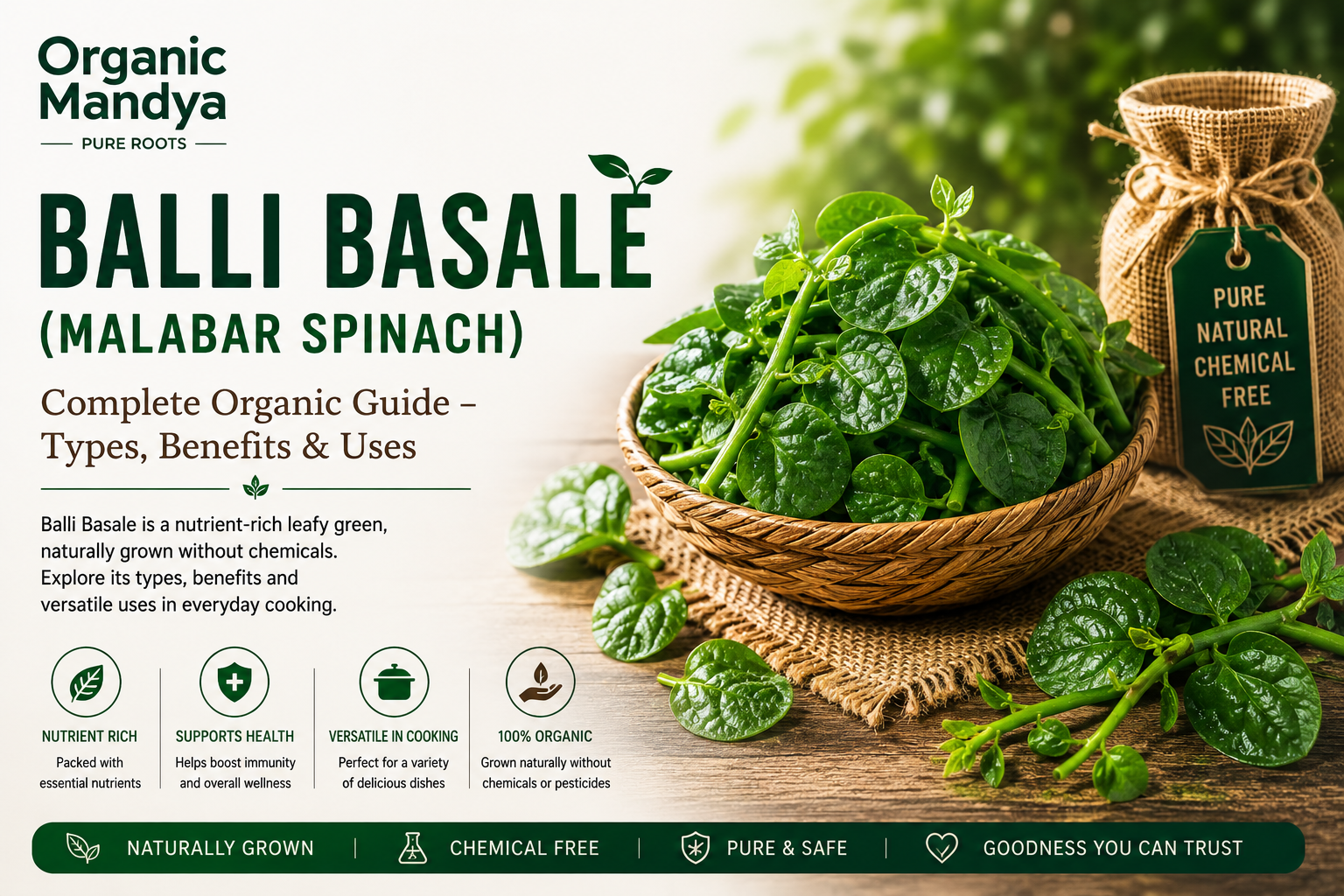 Organic Mandya Balli Basale (Malabar Spinach): Complete Organic Guide | Types, Benefits & Uses