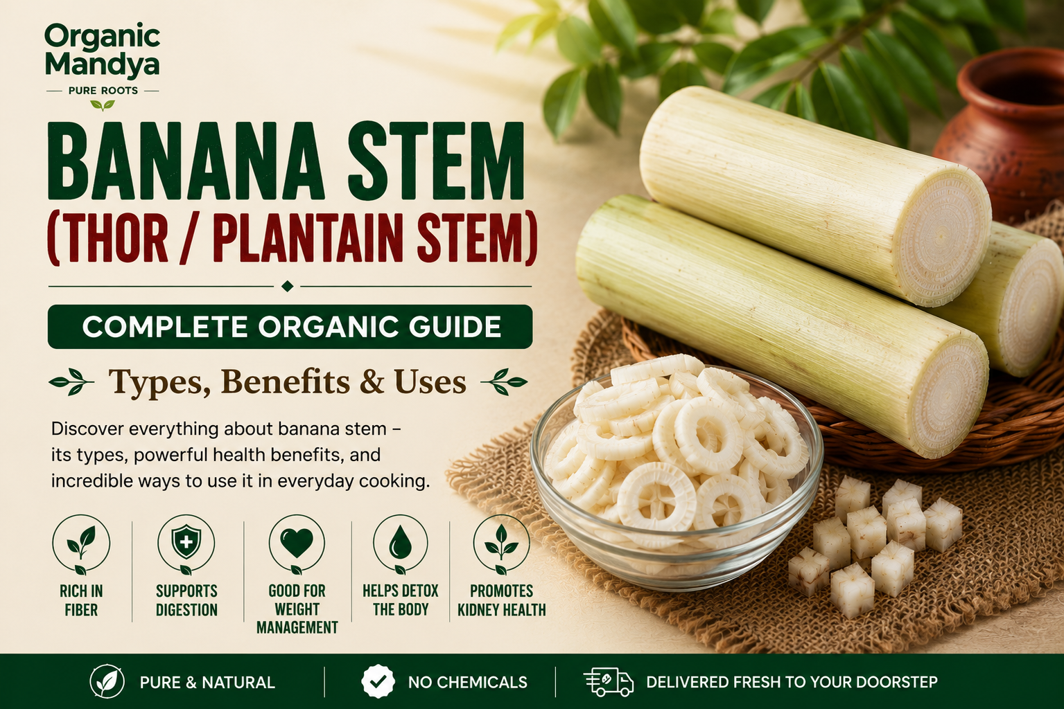 Organic Mandya Banana Stem (Thor / Plantain Stem): Complete Organic Guide | Types, Benefits & Uses