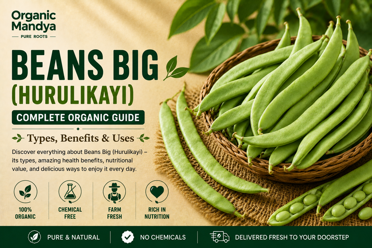 Organic Mandya Beans Big (Hurulikayi): Complete Organic Guide | Types, Benefits & Uses