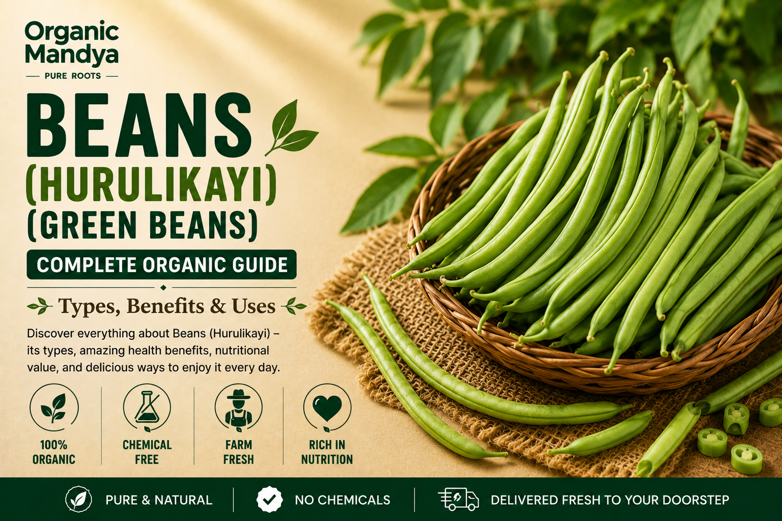 Organic Mandya Beans (Hurulikayi) (Green Beans): Complete Organic Guide | Types, Benefits & Uses