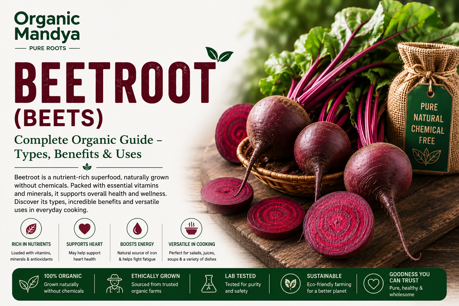 Organic Mandya Beetroot (Beets): Complete Organic Guide | Types, Benefits & Uses