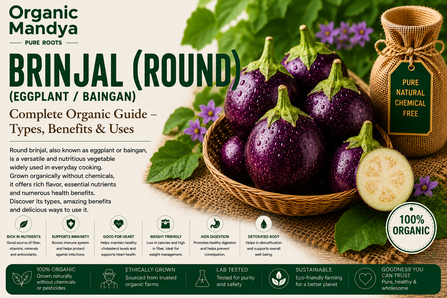 Organic Mandya Brinjal (Round) (Eggplant / Baingan): Complete Organic Guide | Types, Benefits & Uses