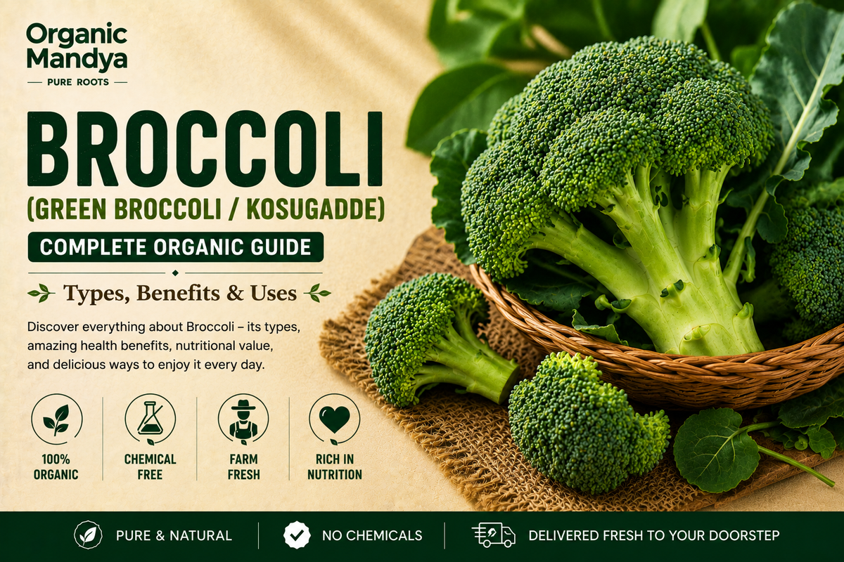 Organic Mandya Broccoli (Green Broccoli / Kosugadde) : Complete Organic Guide | Types, Benefits & Uses