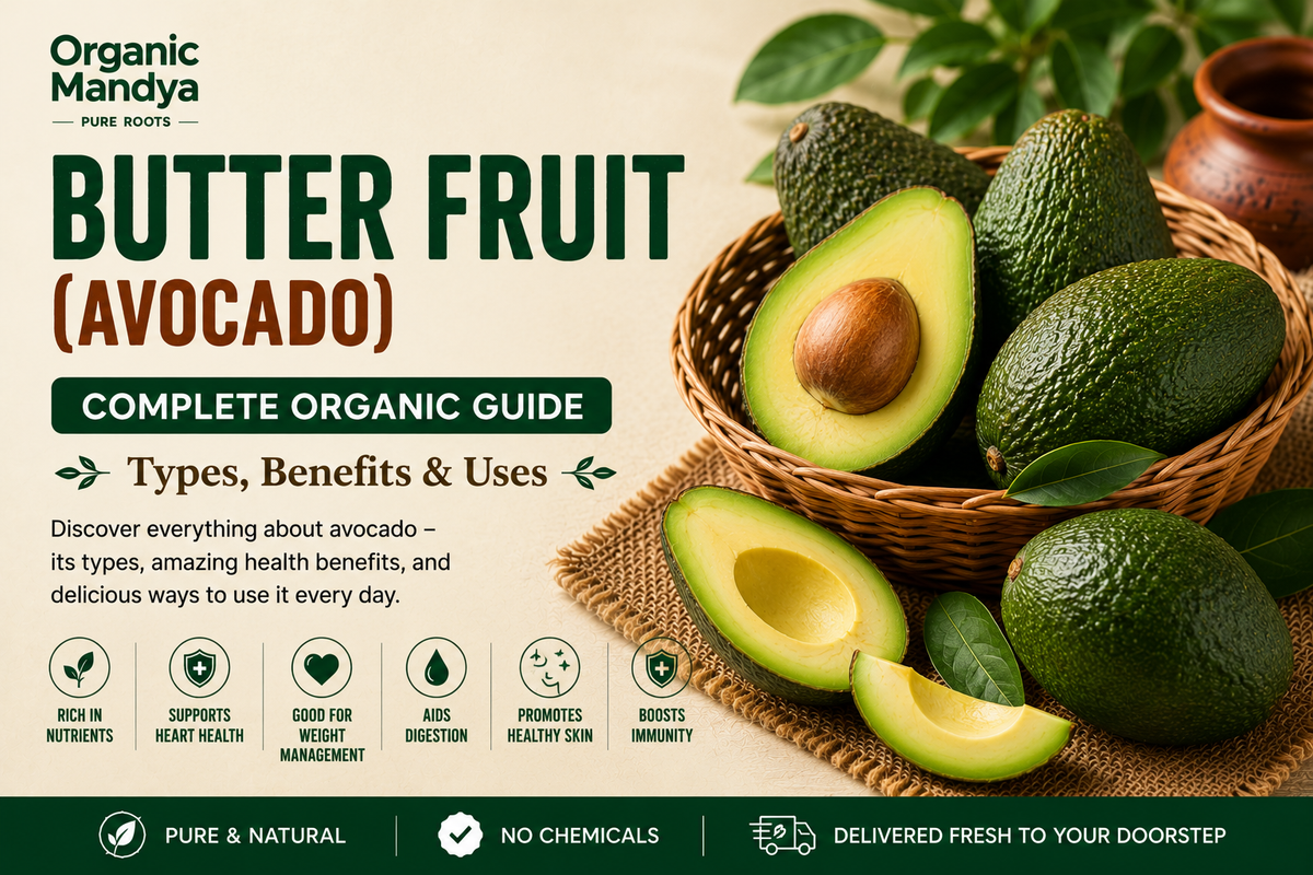 Organic Mandya Butter-Fruit (Avocado): Complete Organic Guide | Types, Benefits & Uses