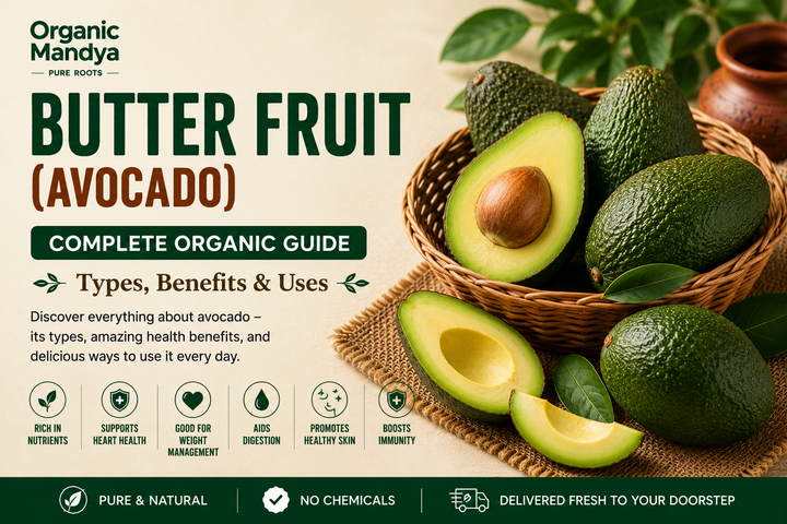 Organic Mandya Butter-Fruit (Avocado): Complete Organic Guide | Types, Benefits & Uses