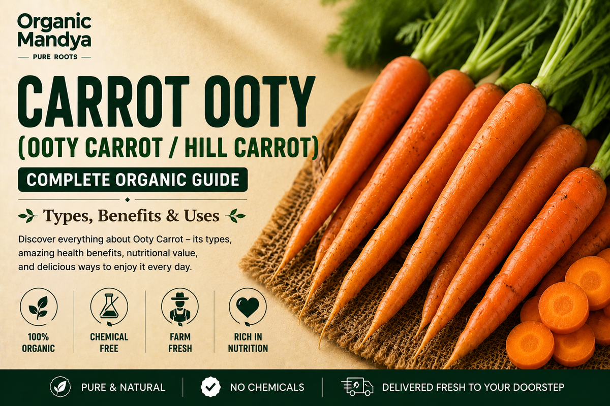 Organic Mandya Carrot Ooty (Ooty Carrot / Hill Carrot) : Complete Organic Guide | Types, Benefits & Uses