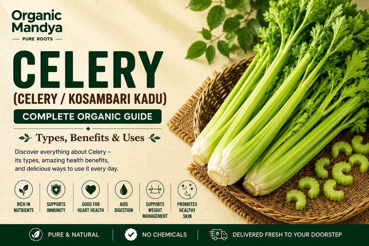 Organic Mandya Celery: Complete Organic Guide | Types, Benefits & Uses