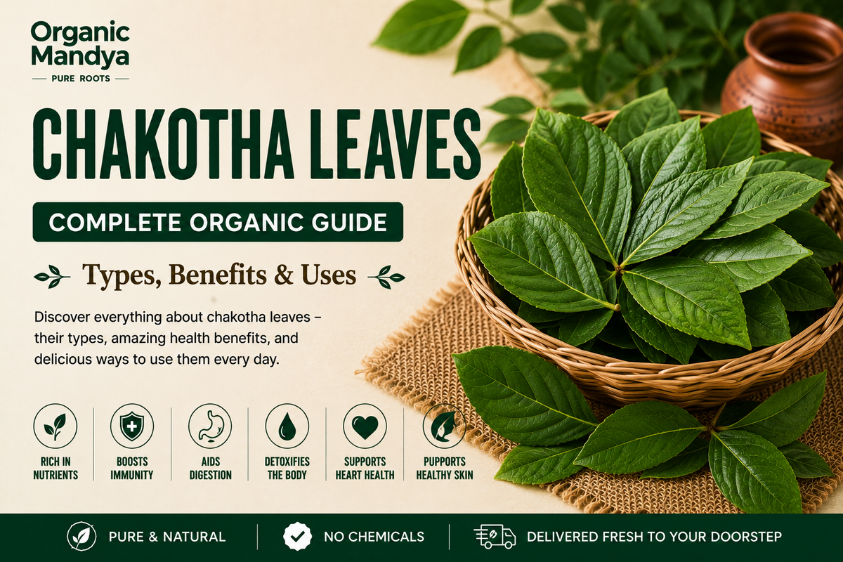 Organic Mandya Chakotha Leaves: Complete Organic Guide | Types, Benefits & Uses