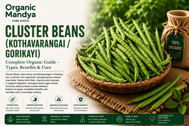 Organic Mandya Cluster Beans (Kothavarangai / Gorikayi): Complete Organic Guide | Types, Benefits & Uses