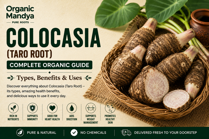 Organic Mandya Colocasia (Taro Root): Complete Organic Guide | Types, Benefits & Uses