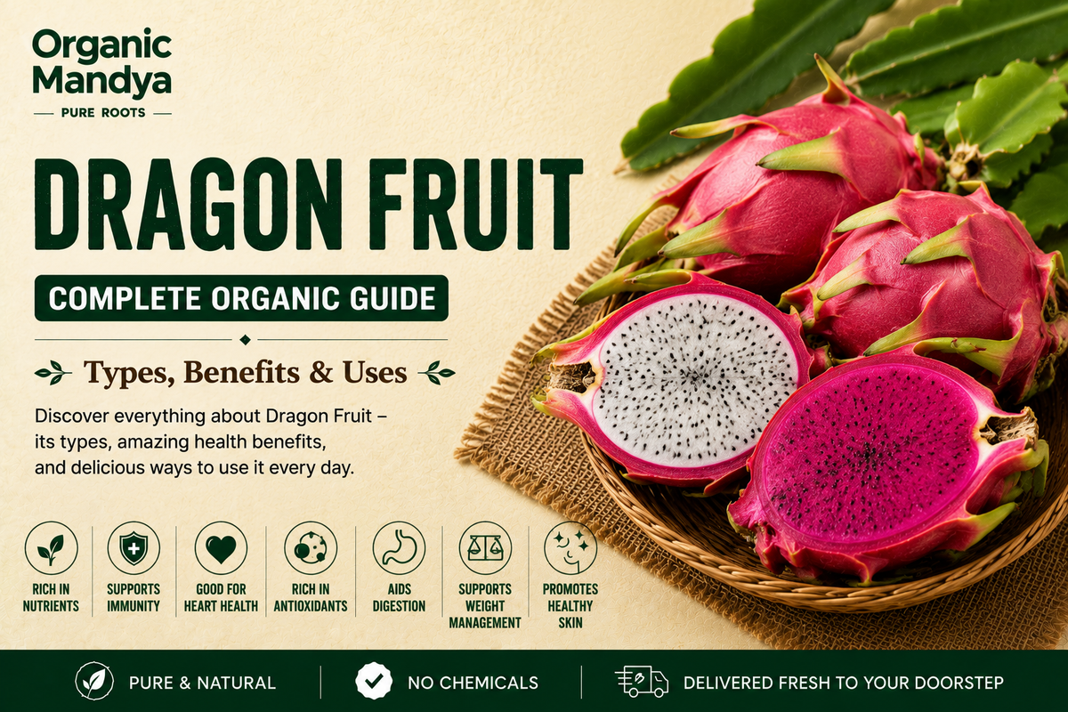 Organic Mandya Dragon Fruit : Complete Organic Guide | Types, Benefits & Uses