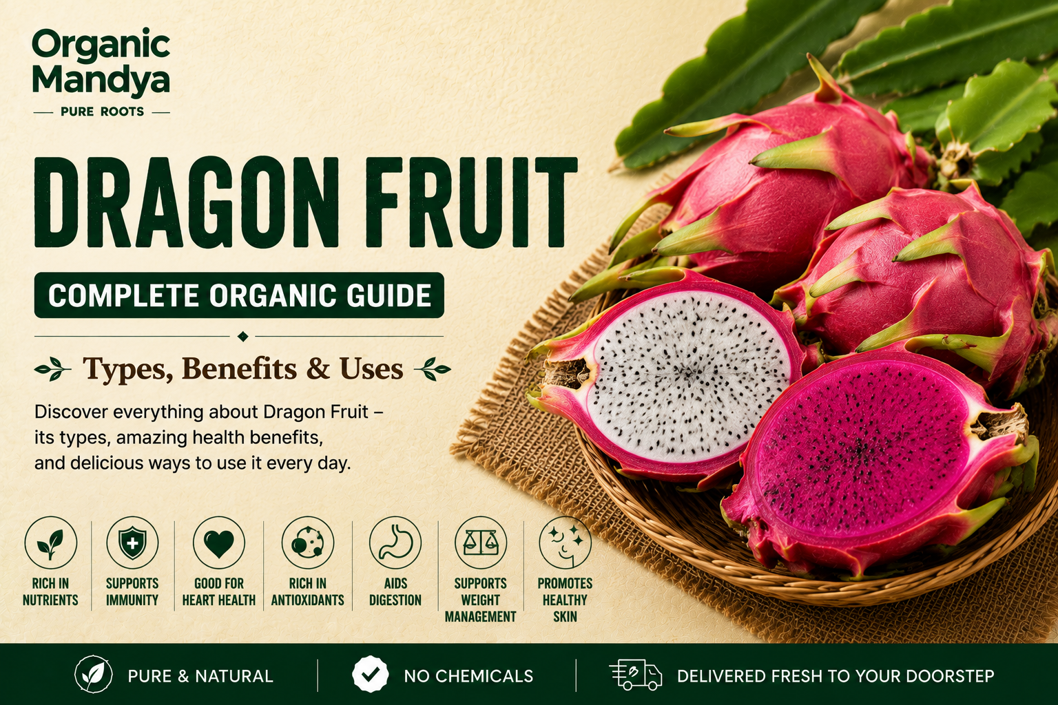 Organic Mandya Dragon Fruit : Complete Organic Guide | Types, Benefits & Uses