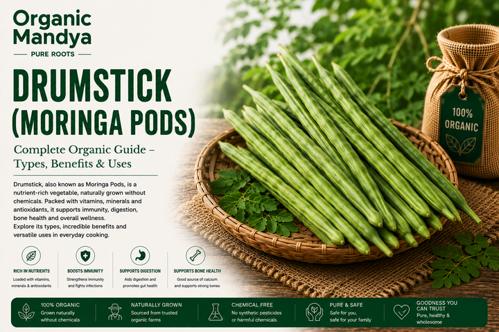 Organic Mandya Drumstick (Moringa Pods) : Complete Organic Guide | Types, Benefits & Uses