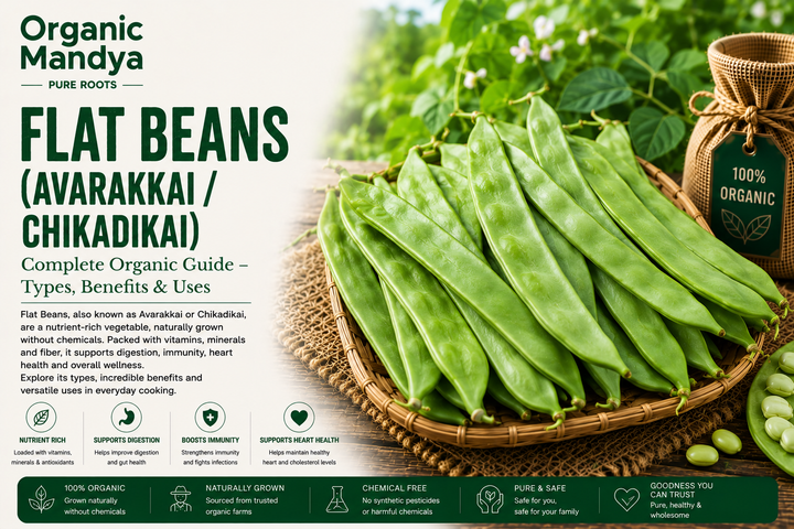 Organic Mandya Flat Beans (Avarakkai / Chikadikai) : Complete Organic Guide | Types, Benefits & Uses