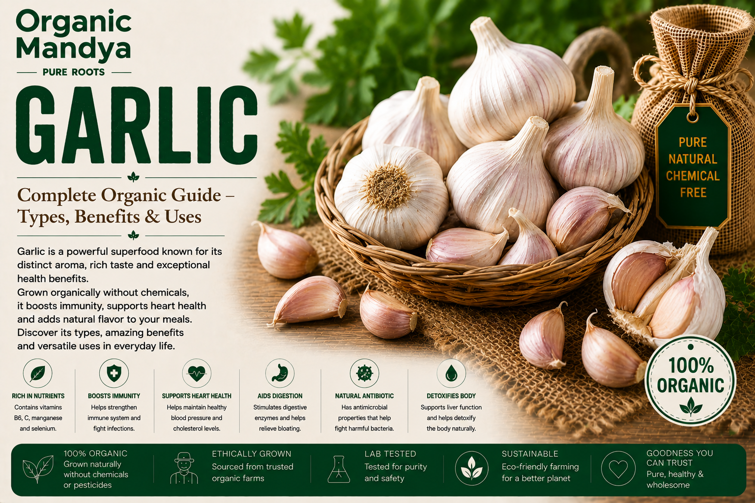 Organic Mandya Garlic : Complete Organic Guide | Types, Benefits & Uses