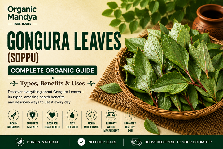 Organic Mandya Gongura Leaves (Soppu) : Complete Organic Guide | Types, Benefits & Uses