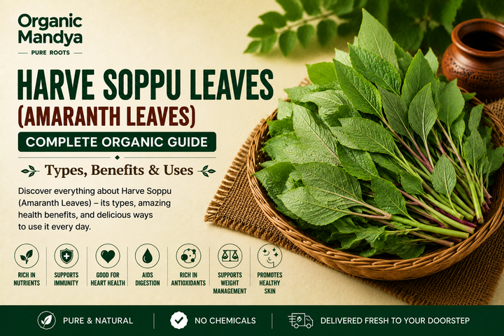 Organic Mandya Harve Soppu Leaves (Amaranth Leaves) : Complete Organic Guide | Types, Benefits & Uses
