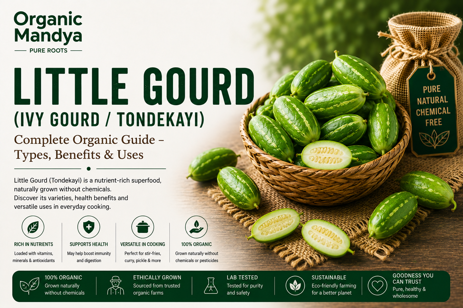 Organic Mandya Little Gourd (Ivy Gourd / Tondekayi) : Complete Organic Guide | Types, Benefits & Uses