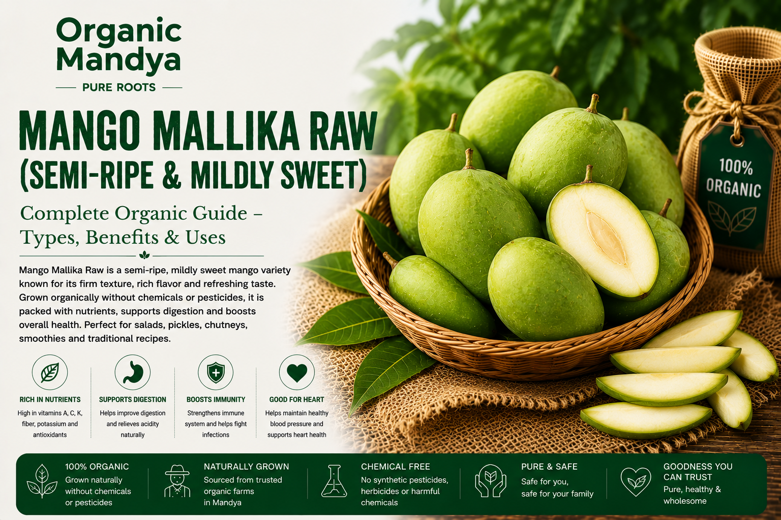 Organic Mandya Mango Mallika Raw (Semi-ripe & mildly sweet) : Complete Organic Guide | Types, Benefits & Uses