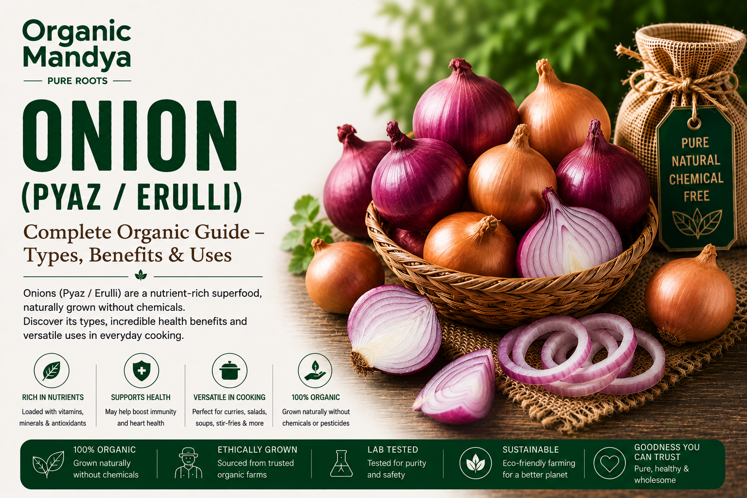 Organic Mandya Onion (Pyaz / Erulli) : Complete Organic Guide | Types, Benefits & Uses