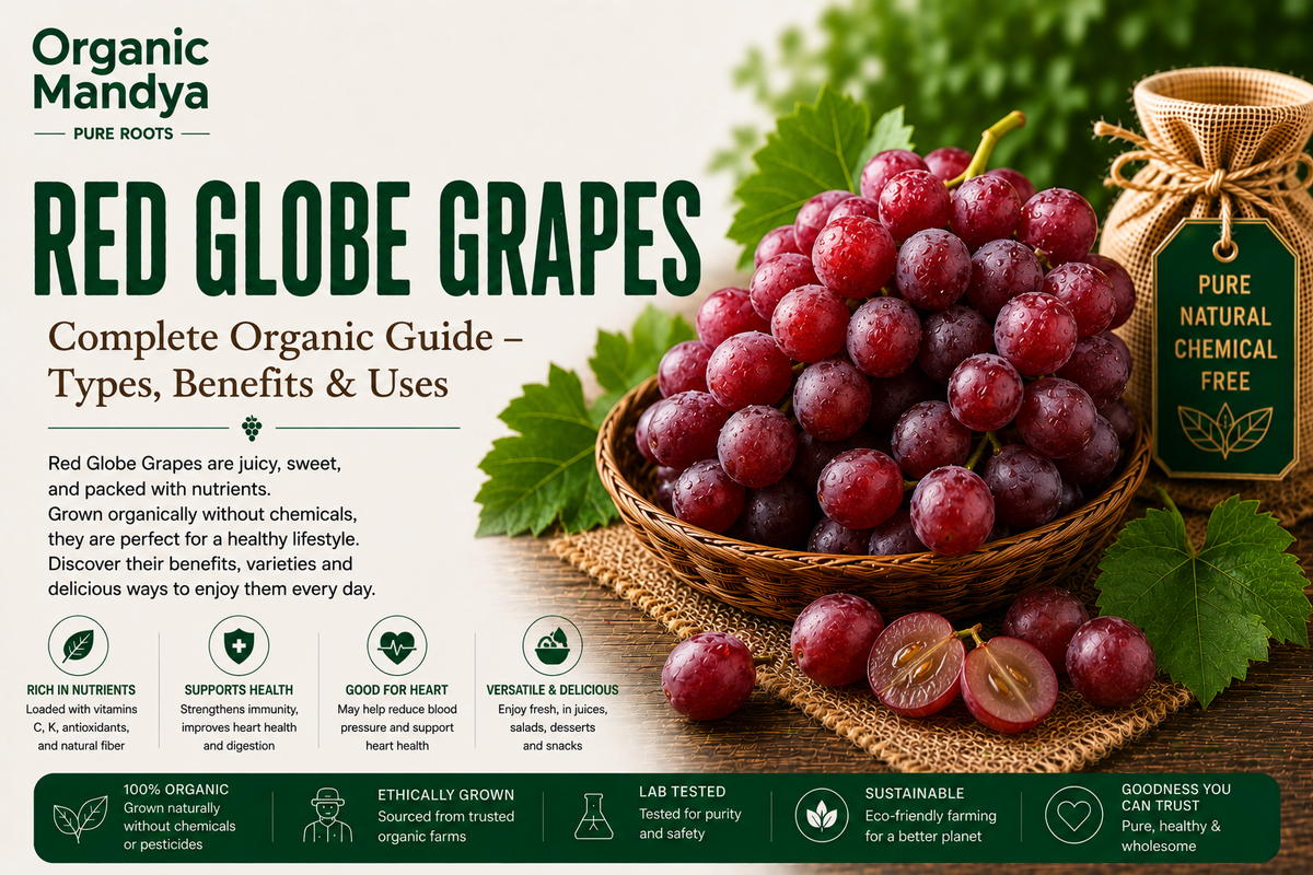 Organic Mandya Red Globe Grapes : Complete Organic Guide | Types, Benefits & Uses