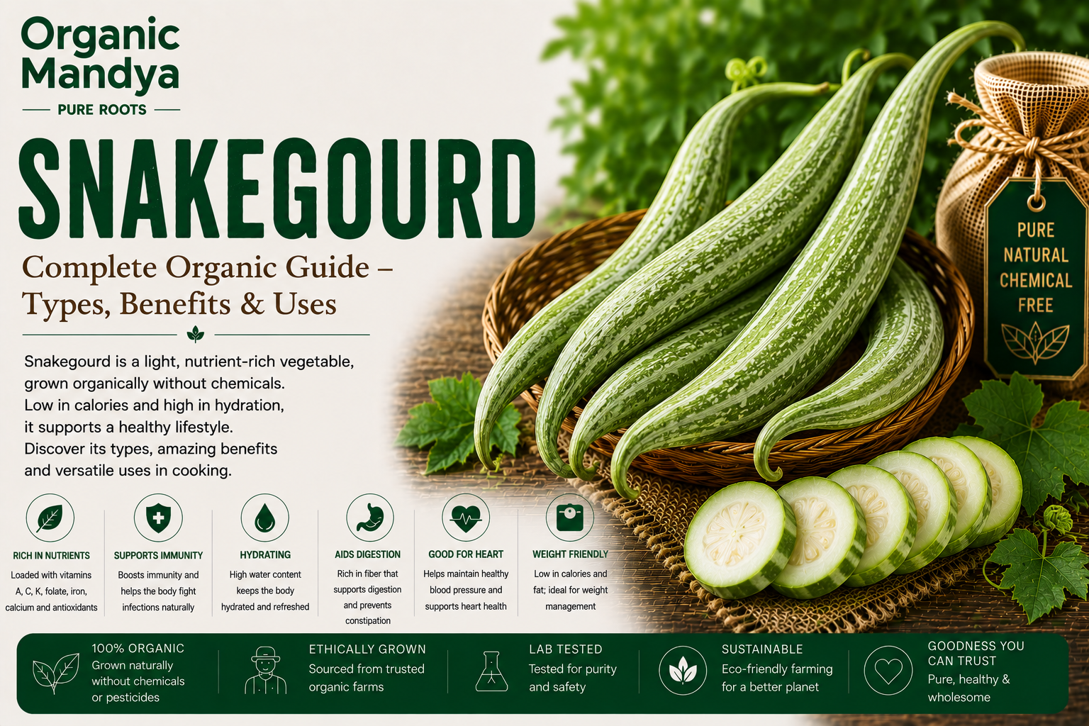 Organic Mandya Snakegourd : Complete Organic Guide | Types, Benefits & Uses