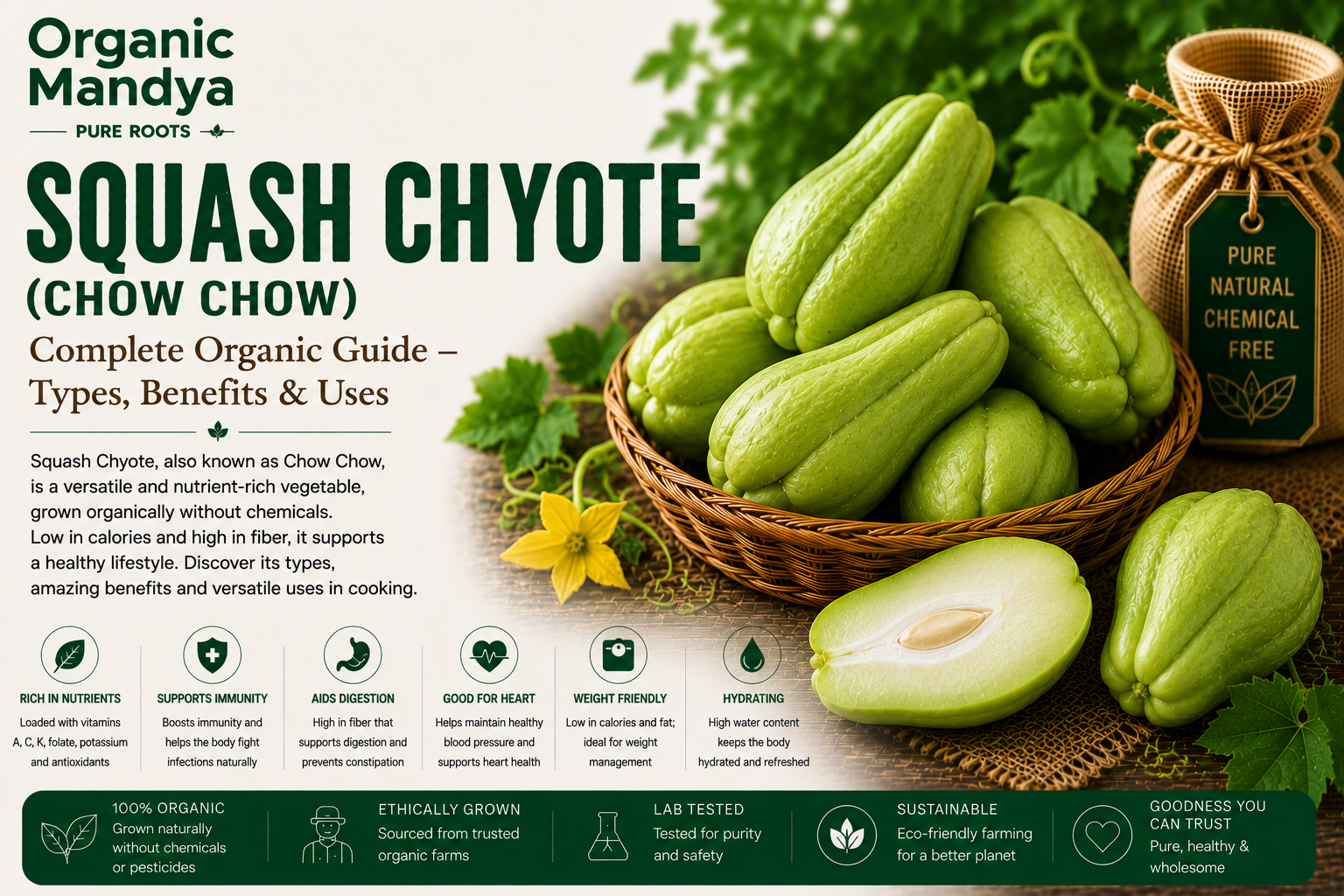 Organic Mandya Squash Chyote (Chow Chow) : Complete Organic Guide | Types, Benefits & Uses