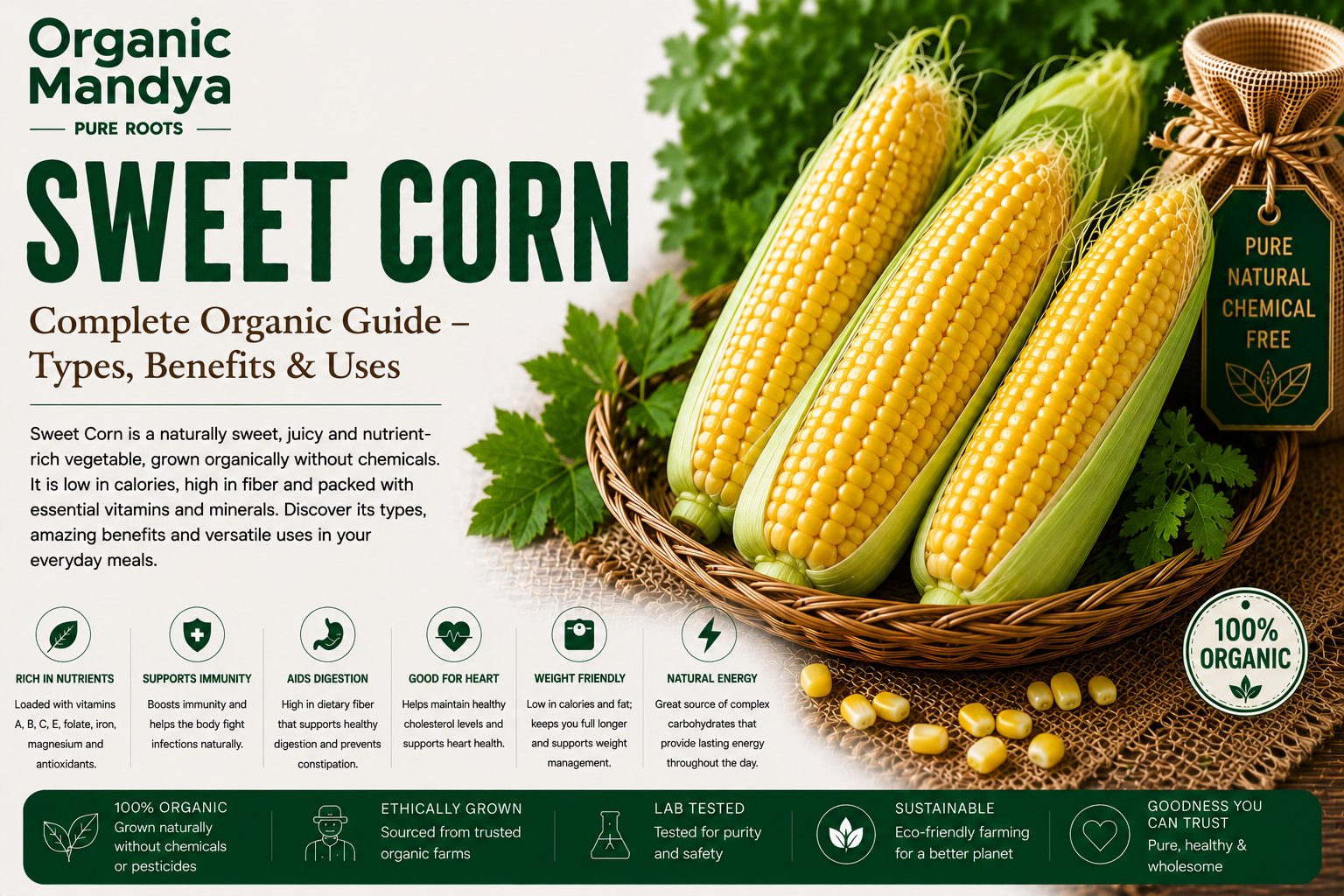 Organic Mandya Sweet Corn : Complete Organic Guide | Types, Benefits & Uses