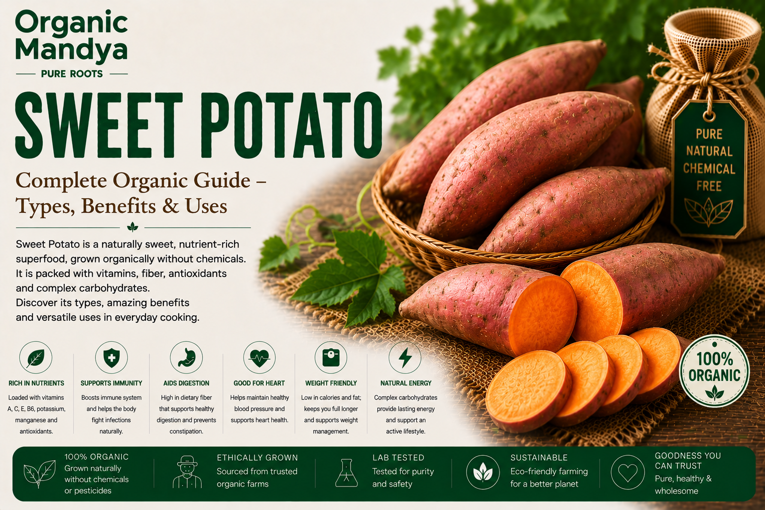 Organic Mandya Sweet Potato : Complete Organic Guide | Types, Benefits & Uses